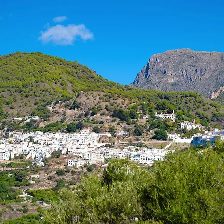 Cortijo Dos Pinos Villa